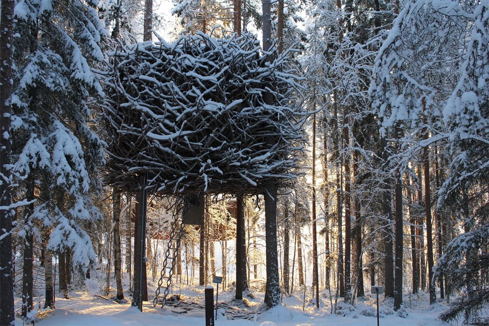 Bird's Nest in winter, photo: Treehotel
