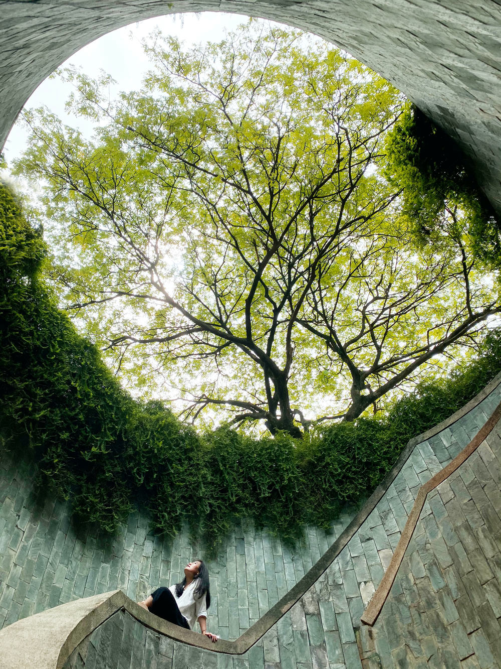 Tree Tunnel at Fort Canning Park. Photo: Kelvin Han / Unsplash