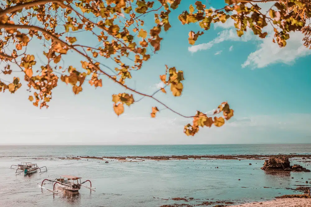 At the beach. Photo: vherliann / Unsplash