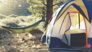 What about some useful tips for your next camping trip? Photo: Laura Pluth / Unsplash