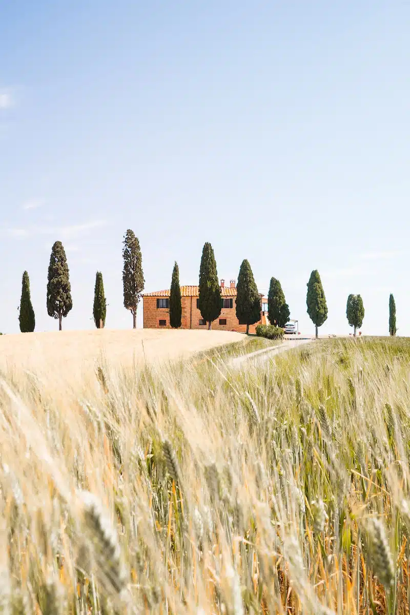Tuscany – a romantic spot. Photo: Melina Kiefer / Unsplash