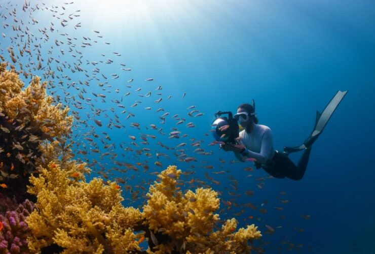 Diving – such a special experience. Photo: NEOM / Unsplash