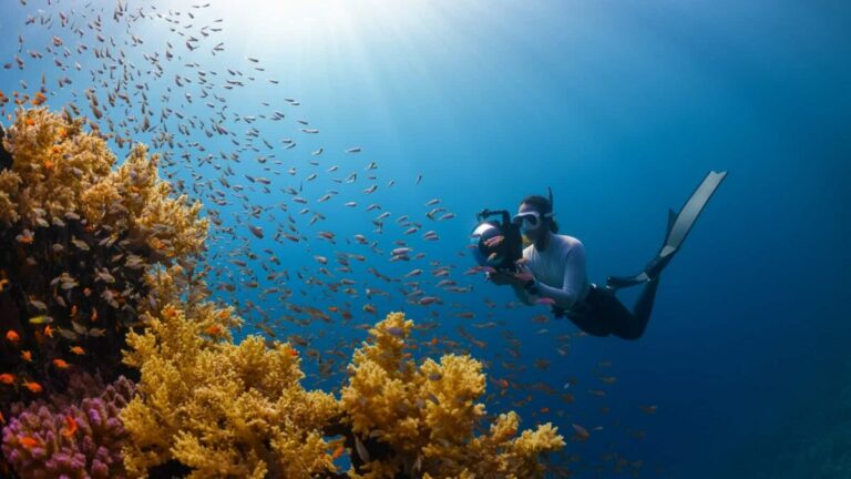 Diving – such a special experience. Photo: NEOM / Unsplash