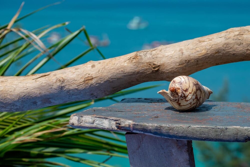 Koh Phangan, Photo: Alexandra Smielova / Unsplash