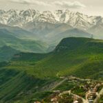 green grass field and mountain