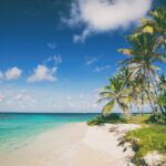 A beautiful beach in the Caribbean Sea, Photo: Christian Lendl / Unsplash