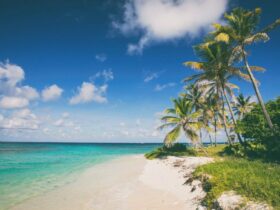 A beautiful beach in the Caribbean Sea, Photo: Christian Lendl / Unsplash