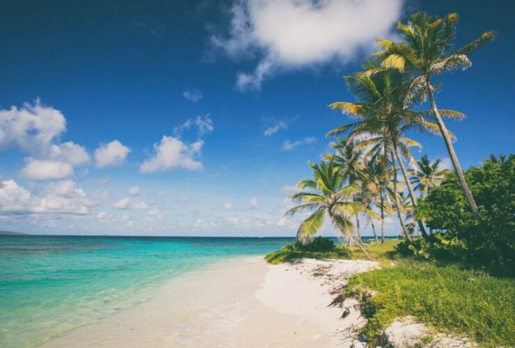 A beautiful beach in the Caribbean Sea, Photo: Christian Lendl / Unsplash