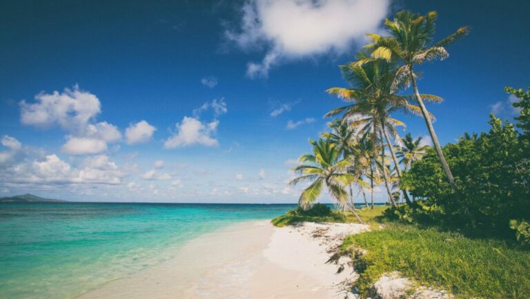 A beautiful beach in the Caribbean Sea, Photo: Christian Lendl / Unsplash