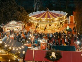 people standing near merry-go-round on amusement park during night time