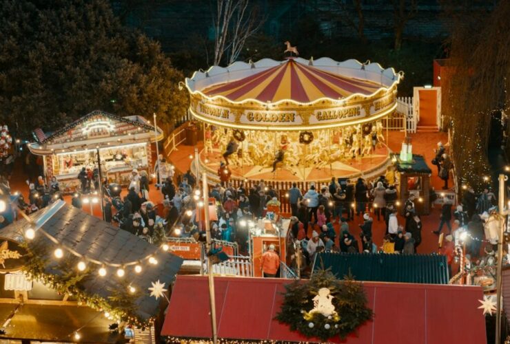 people standing near merry-go-round on amusement park during night time