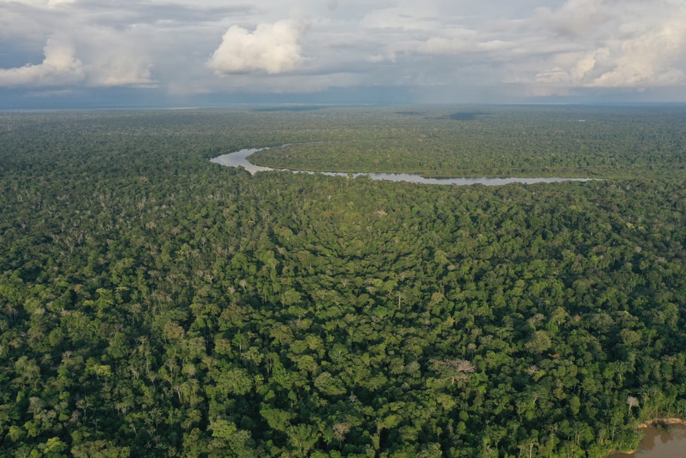 Vale do Javari, Photo: Rhett Ayers Butler / Adobe Stock